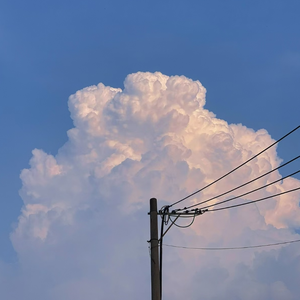 要搞哪一出小说
