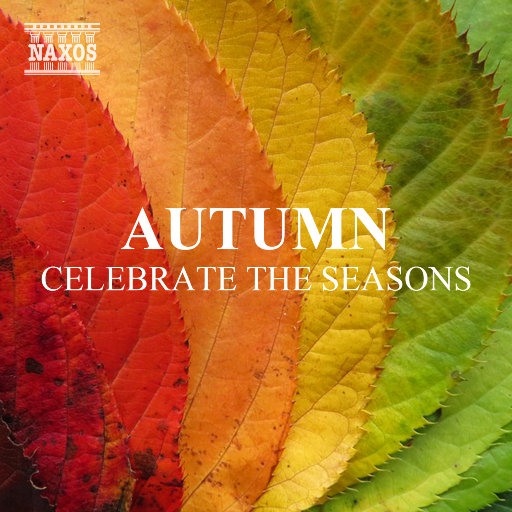 色情亂伦一级A片实拍
